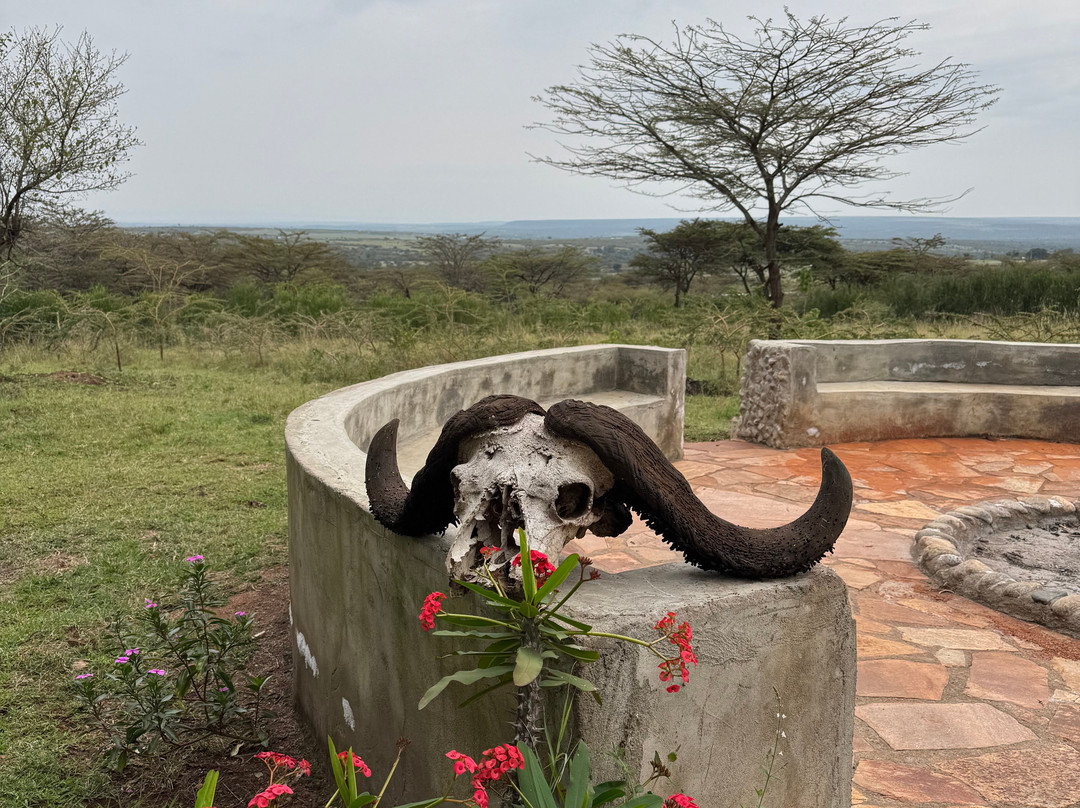 Oseki Maasai Mara Camp-Sekenani必去景点