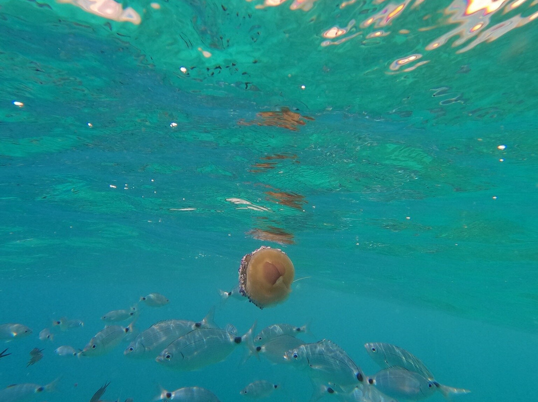 Cala El Raco-卡尔佩必去景点