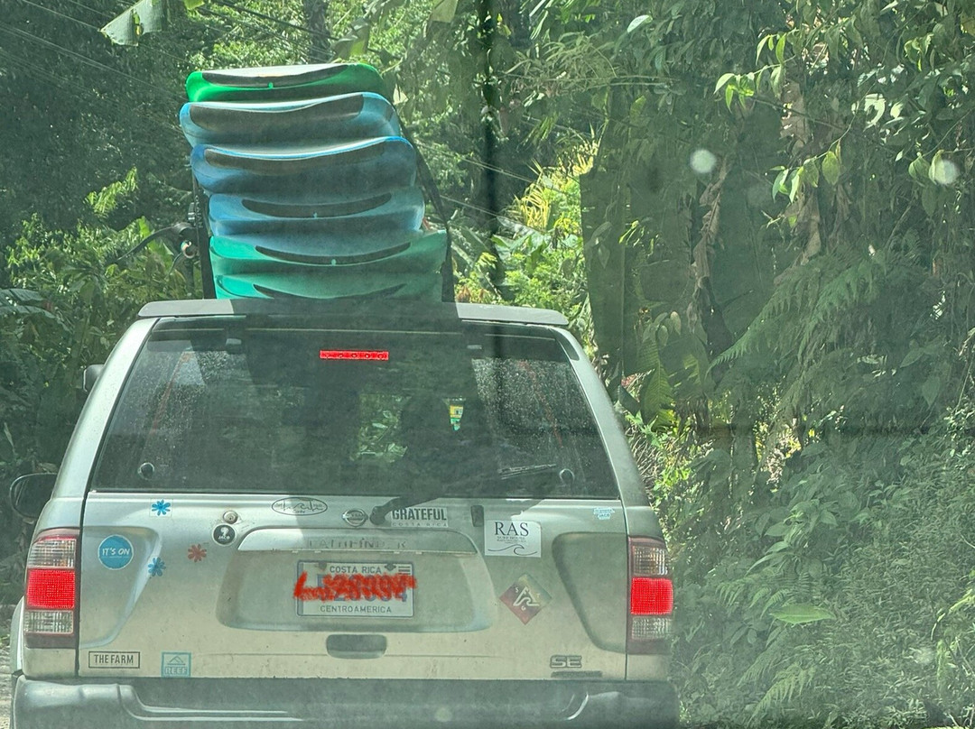 Surf Meds Caribe-Cocles必去景点