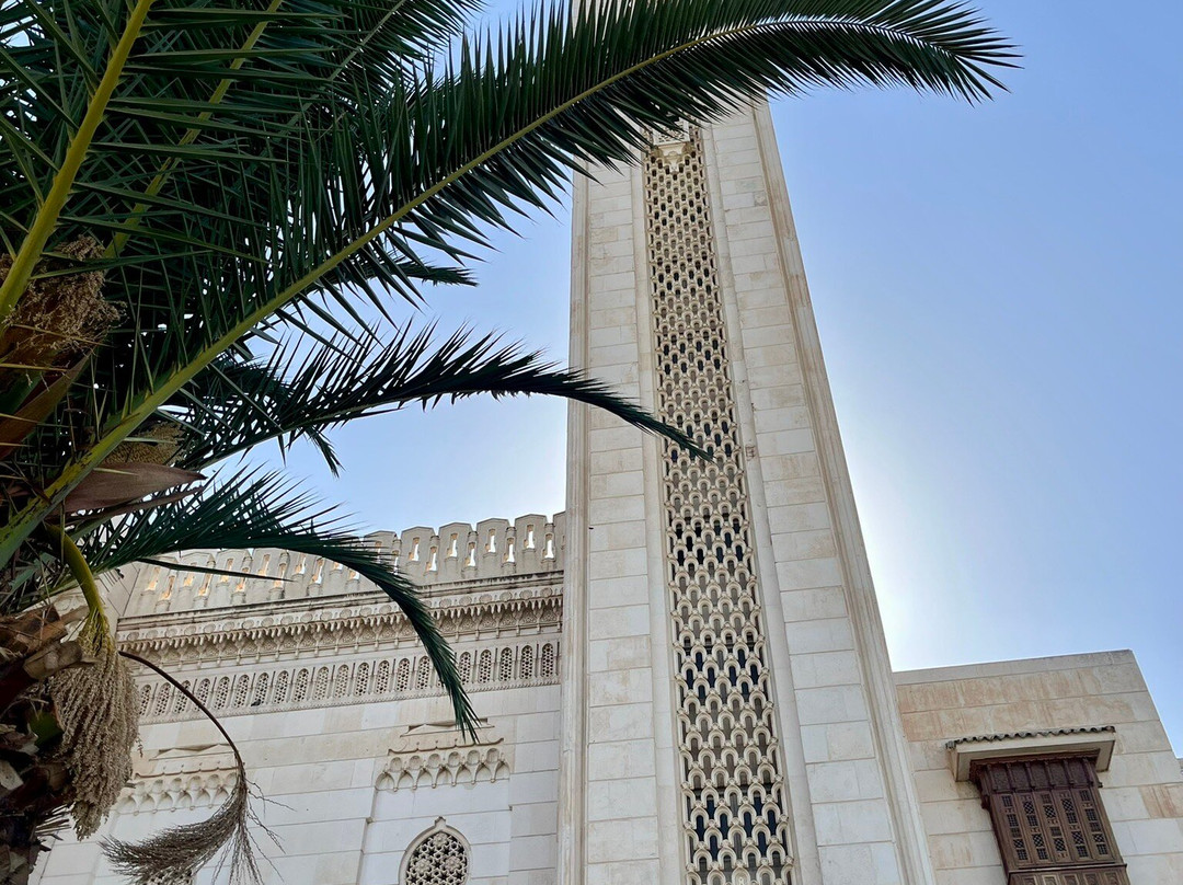 CopyFly Algeria – Cultural & Adventure Tours-Alger Centre必去景点