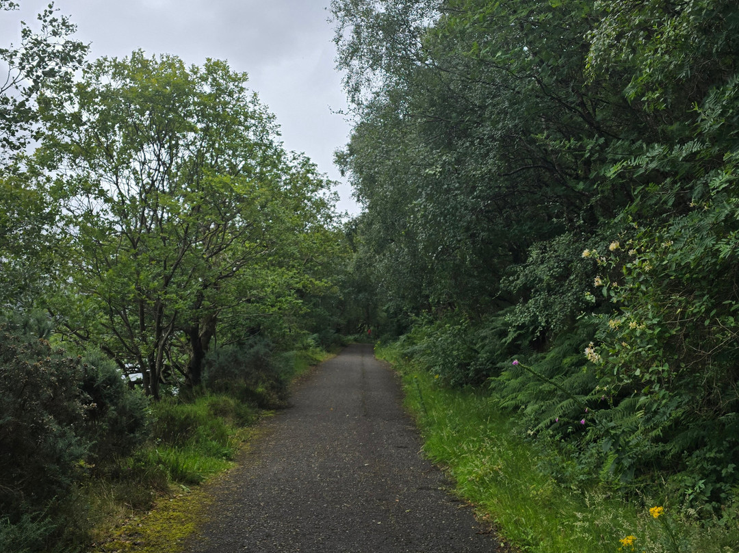 Firkin Point Scenic View-Inverbeg必去景点
