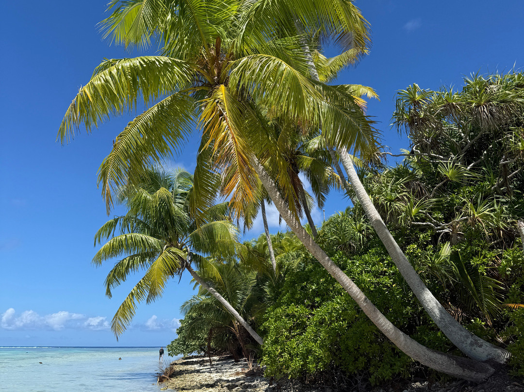 Escapade Charter Tahiti, Day tours-帕皮提必去景点