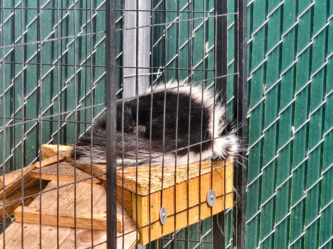 Zootah At Willow Park-洛根必去景点