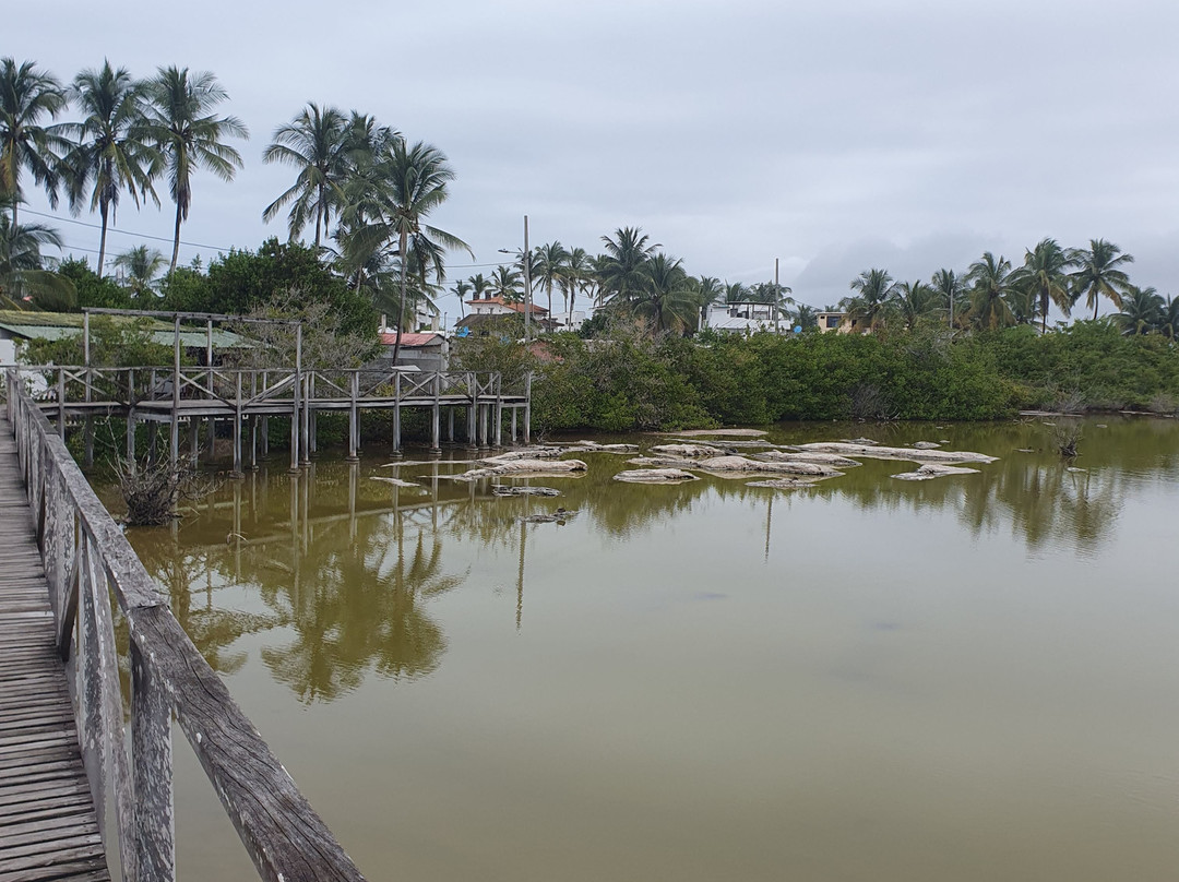 Laguna Salinas-维里亚米尔港必去景点