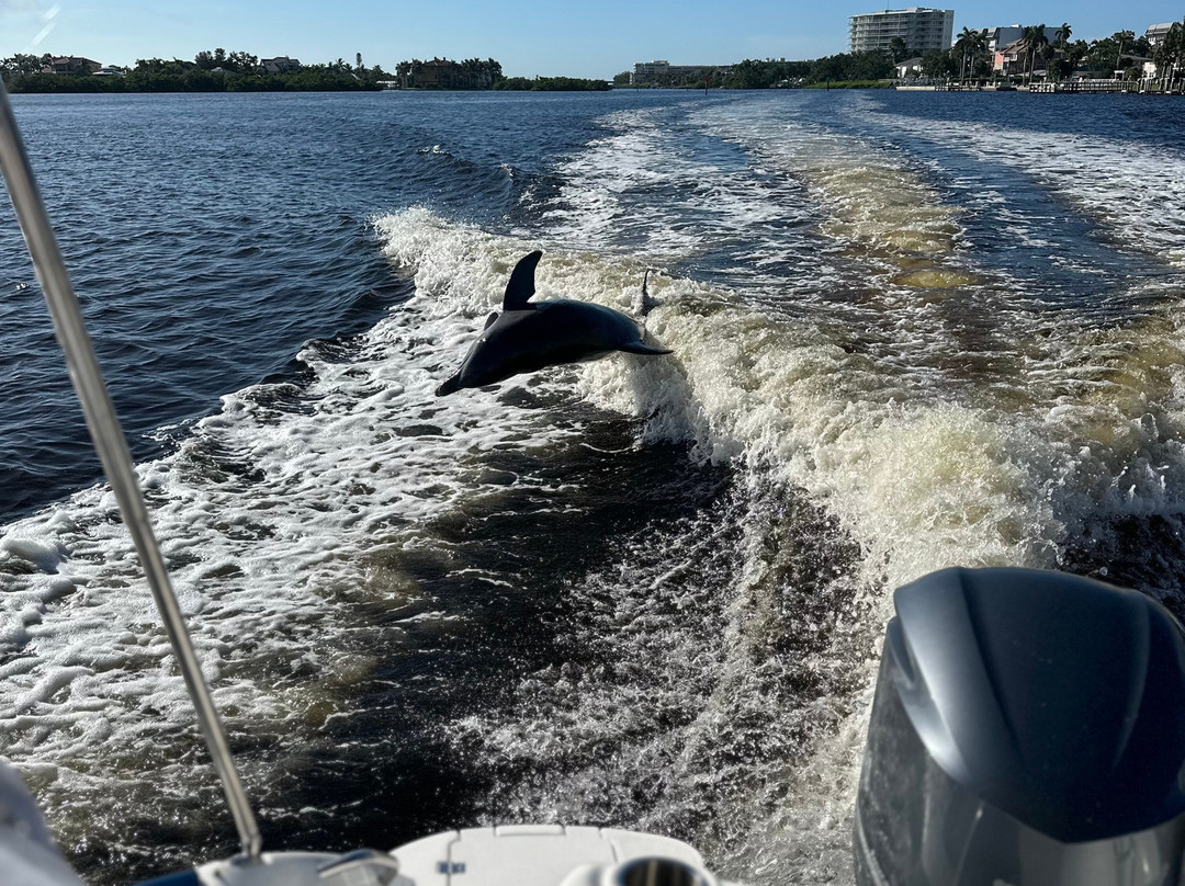 Suncoast Adventure Tours And Charters-Osprey必去景点