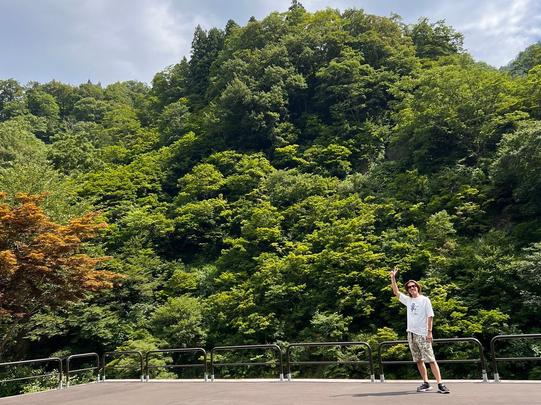 Kiyotsu Gorge-十日町市必去景点
