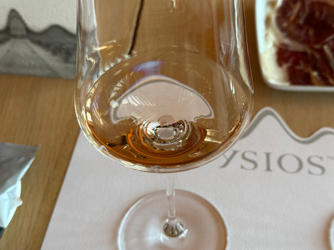 Bodegas Ysios-拉瓜迪亚必去景点