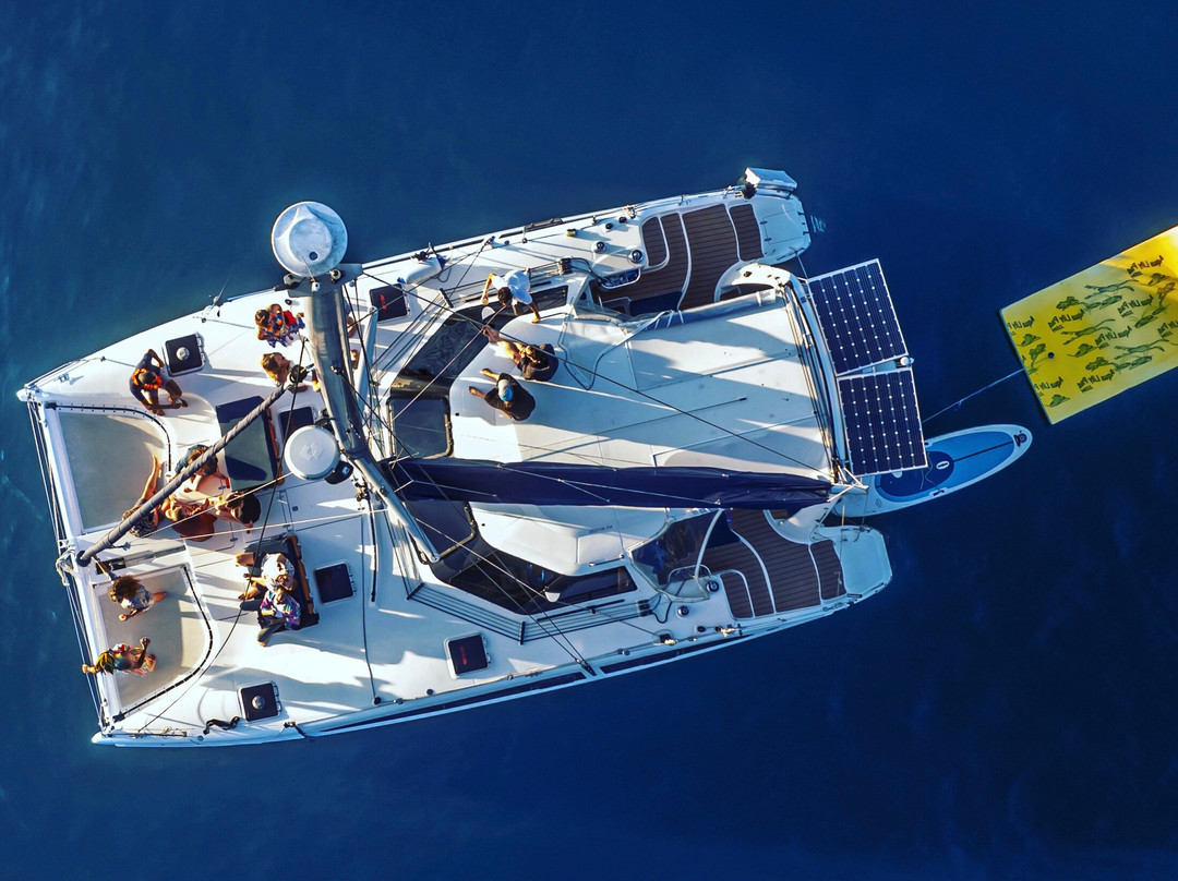 Experience Sydney Harbour-悉尼必去景点