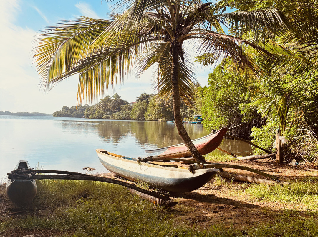 Jungle Breeze
