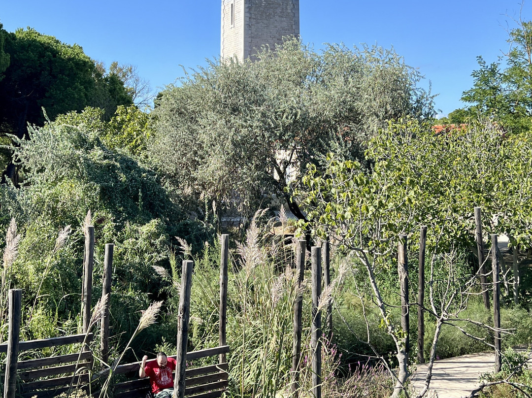 Phare de l'Espiguette-勒格罗迪鲁瓦必去景点