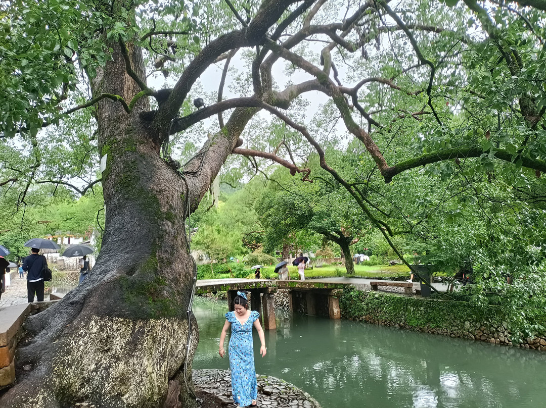 丽水古街-永嘉县必去景点