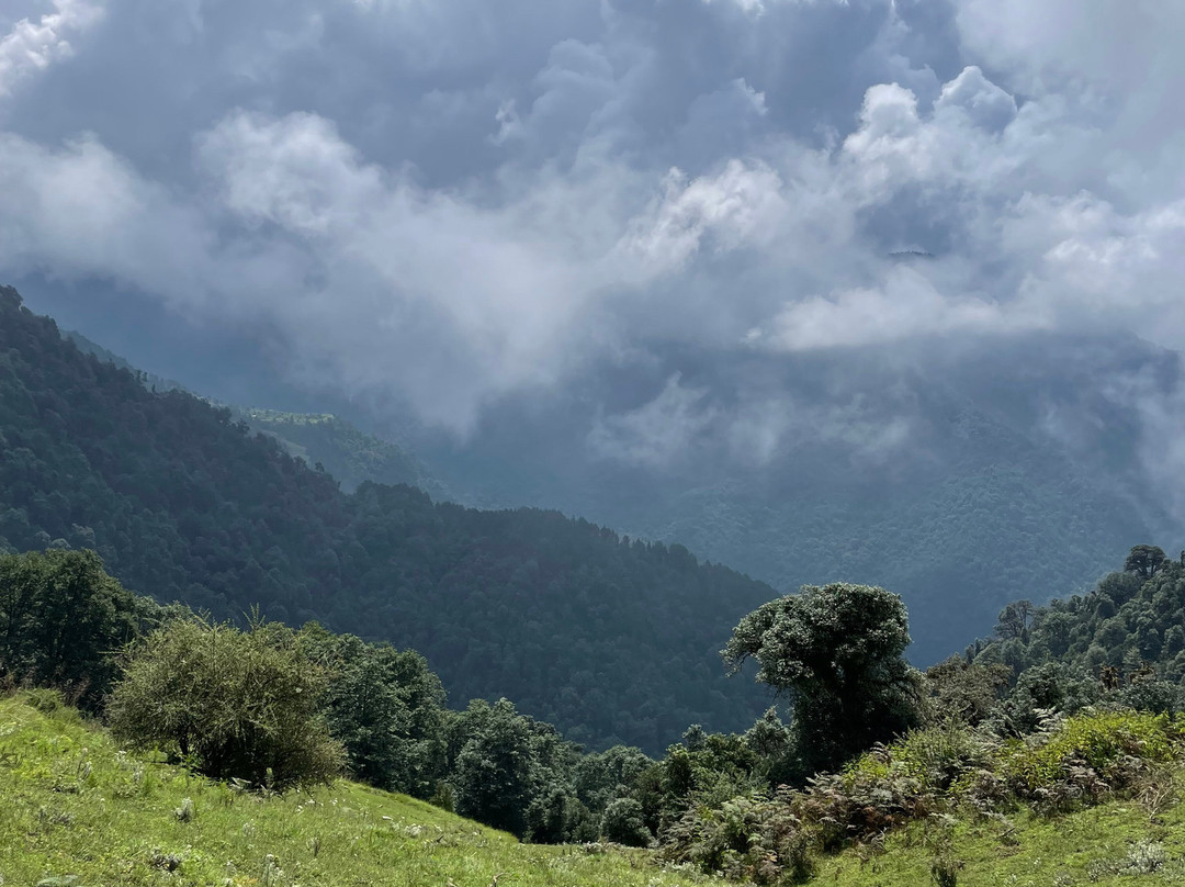 Travel With Pammi-Muni Ki Reti必去景点