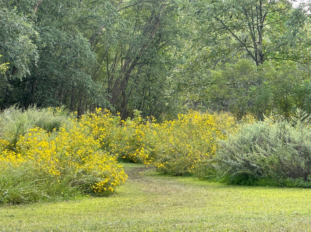 Amico Island Park-Delran必去景点