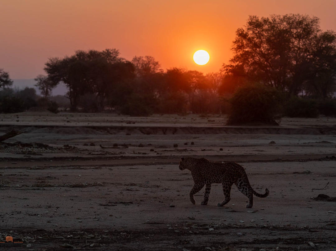 Wild Eye-弗维斯必去景点