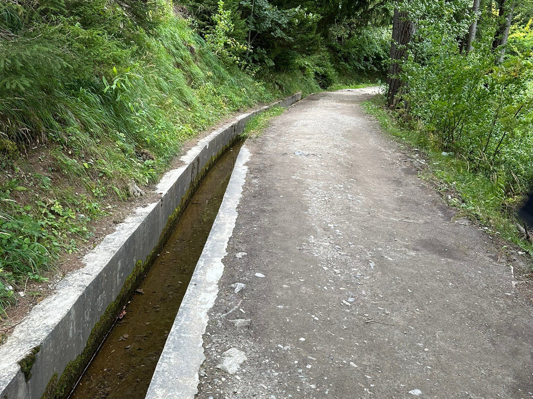 Sentier du bisse du Glacier du Trient-Trient必去景点