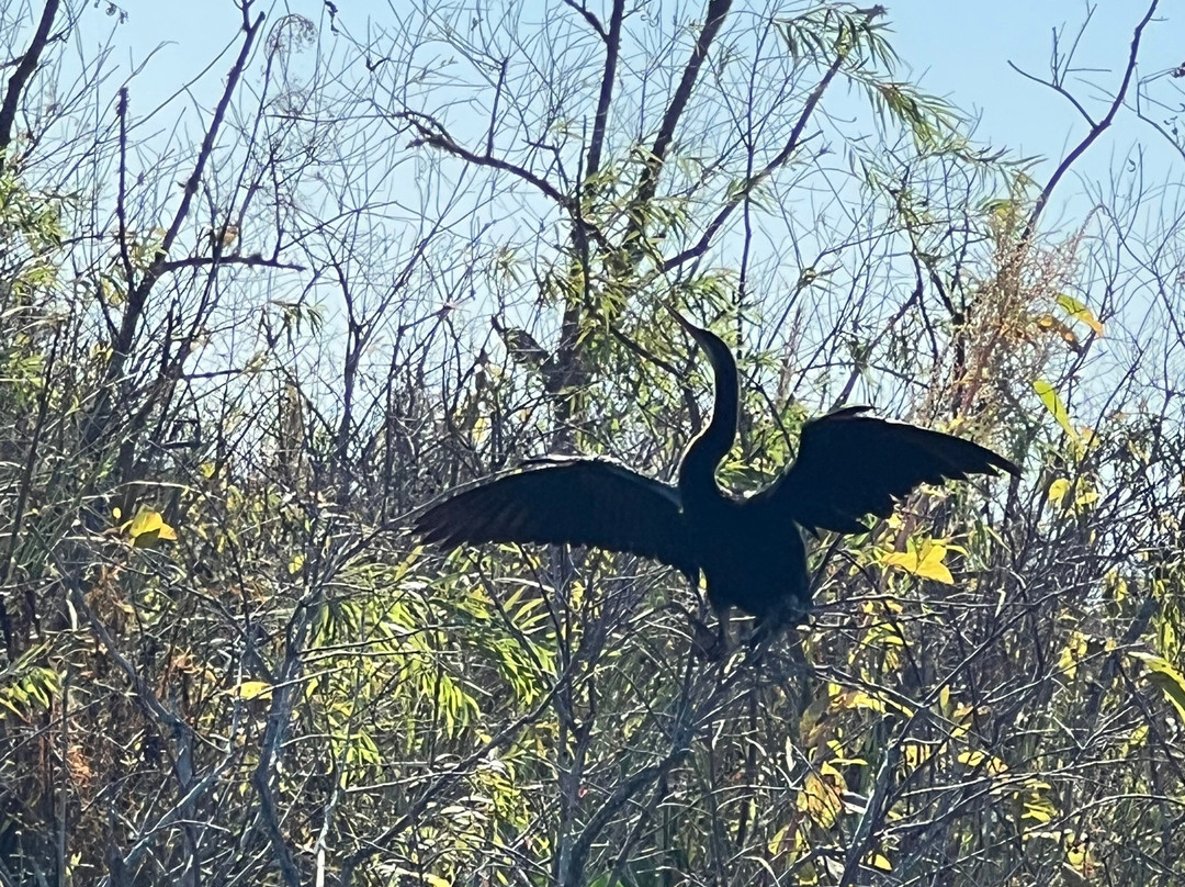 Tom and Jerry's Airboat Rides-Lake Panasoffkee必去景点