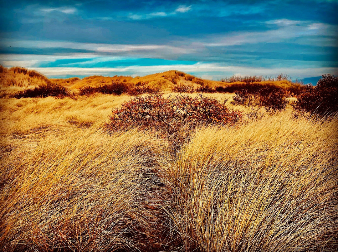 Formby Beach (national Trust)-Formby必去景点