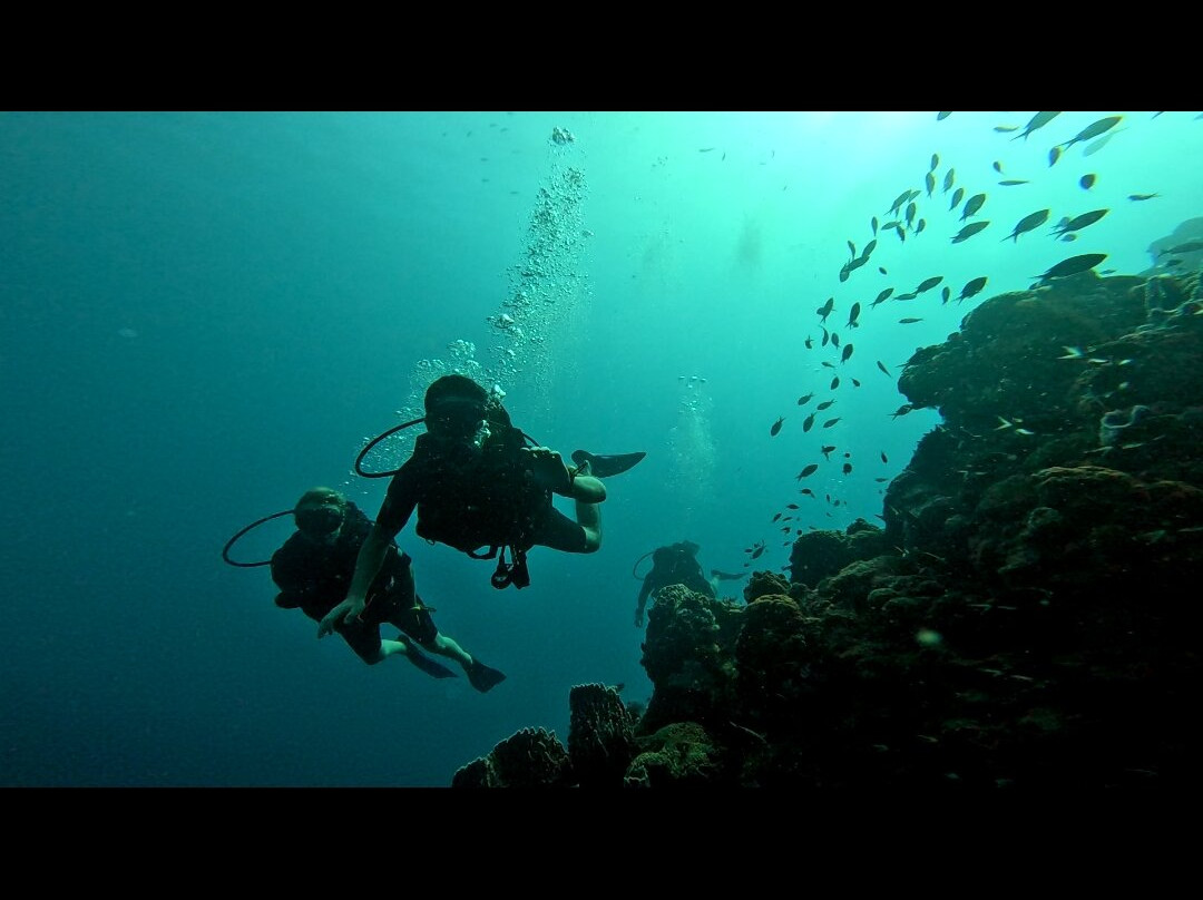 Infini Plongee-Basse-Terre必去景点