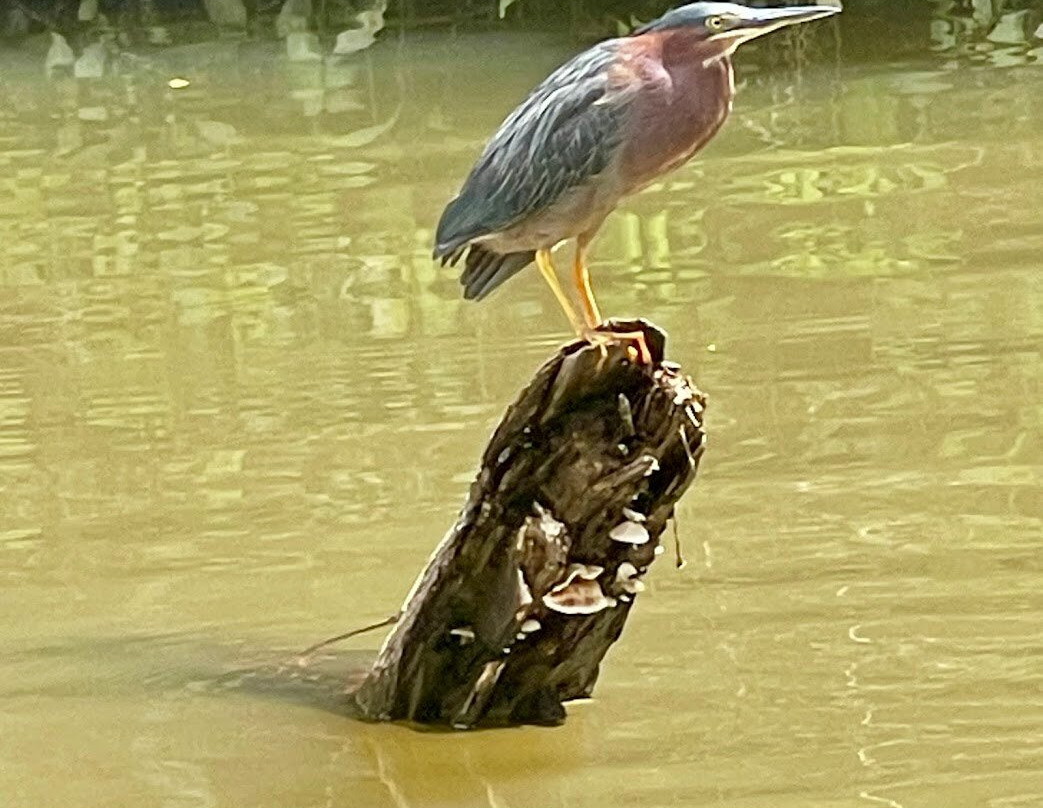 My Costa Rica-圣何塞必去景点