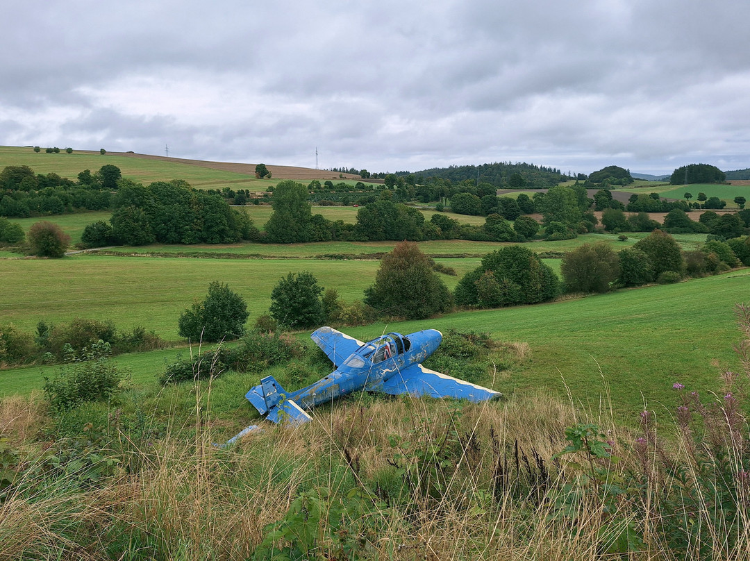 Curioseum-Willingen必去景点