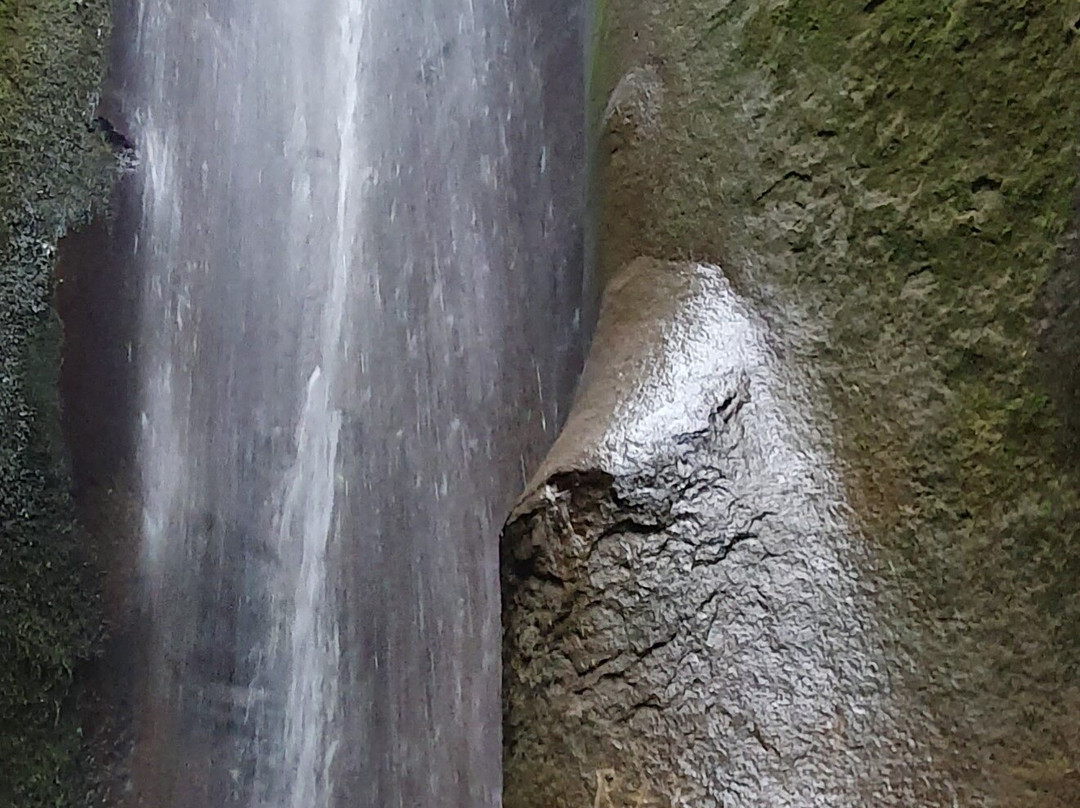 Sombrio Beach-Port Renfrew必去景点