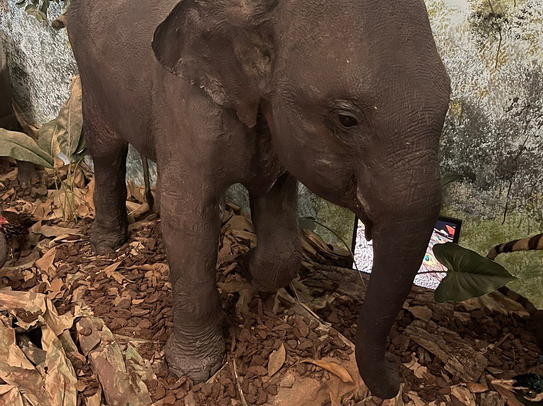 Museo di Storia Naturale Faraggiana Ferrandi-诺瓦拉必去景点