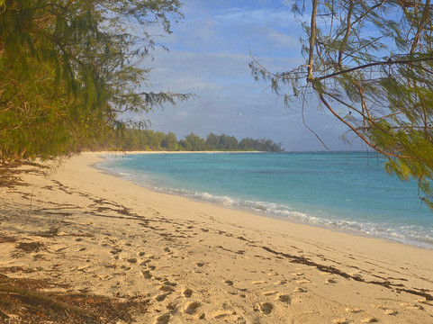 Denis Private Island主图