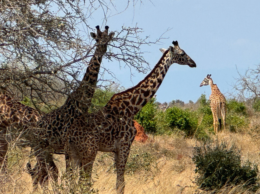 Beppe Watamu-瓦塔木必去景点
