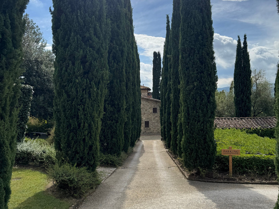 Viaggi d'Ambra-蒙泰瓦尔基必去景点