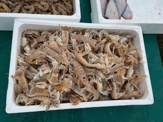 Porto Canale-Porto Garibaldi必去景点