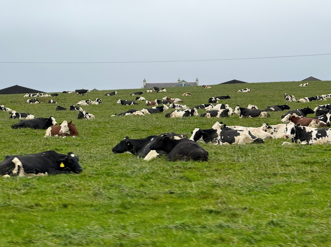 Button-Ben Guest House主图