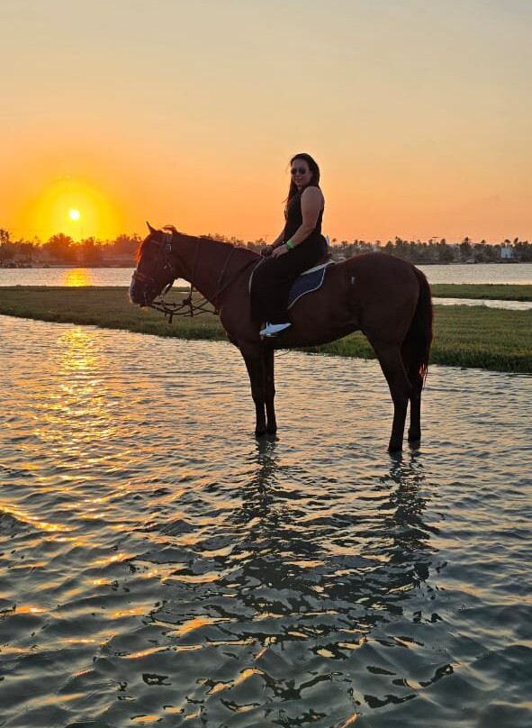 Nour Equestre Djerba-Djerba Midun必去景点