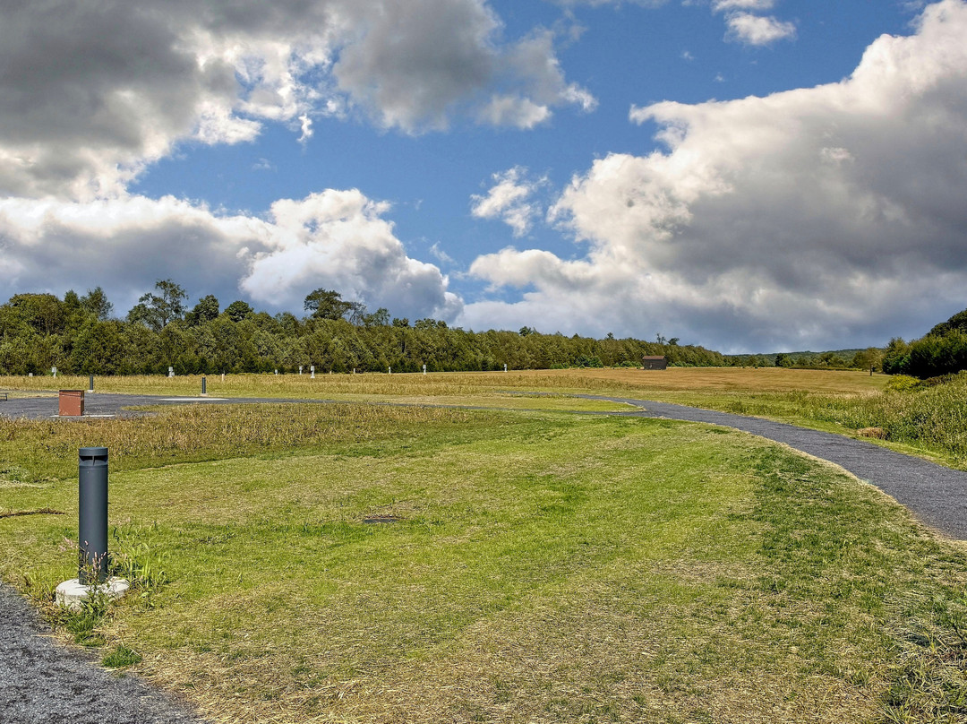 Cherry Springs State Park-Coudersport必去景点