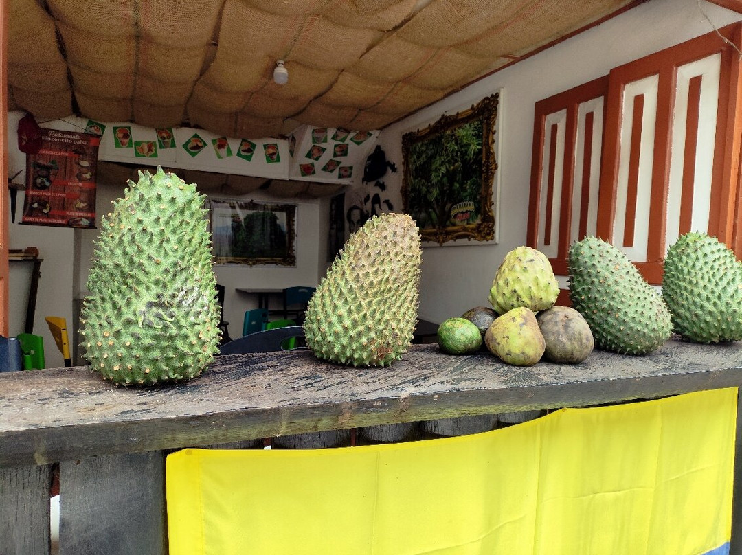 Rutas Cafeteras Tours-Circasia必去景点