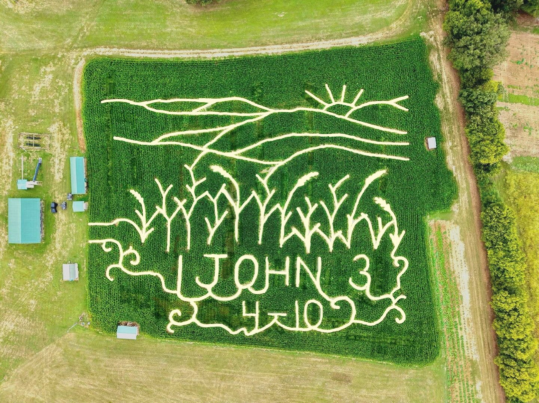 Kyker Farms Corn Maze-塞维尔维尔必去景点