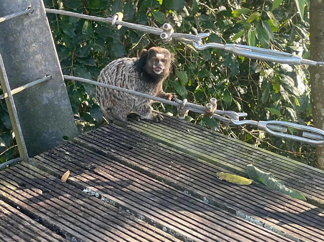 Mirante de Joinville-Joinville必去景点