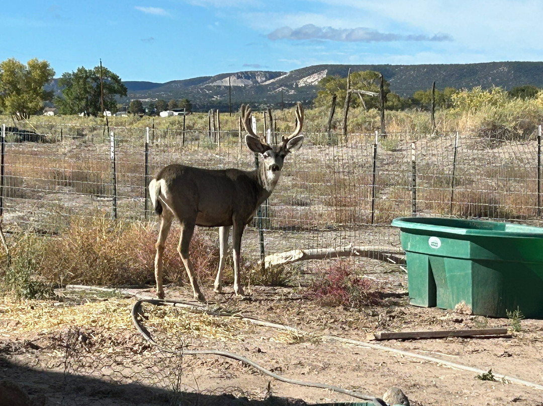 Casa Azul Bed & Breakfast主图