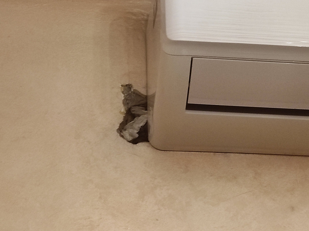 Riad La Porte du Bouregreg主图