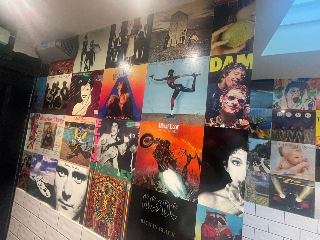 The Dabbling Duck主图