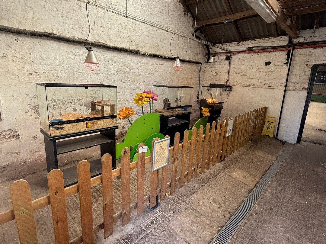 Newham Grange Farm-米德尔斯堡必去景点