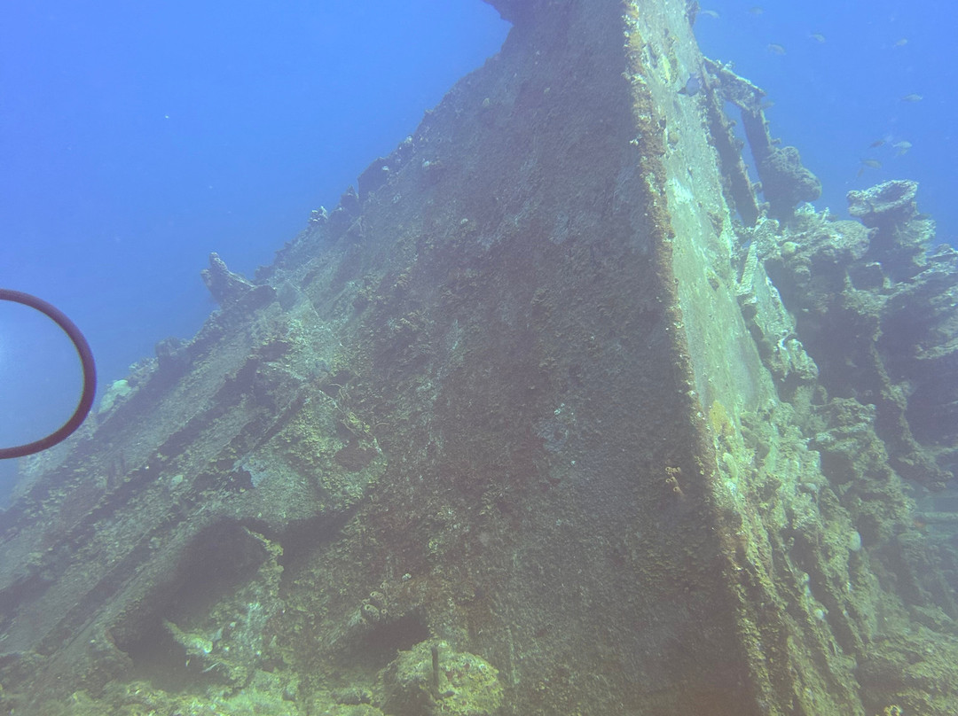 Aqua Marine Dive Center-圣 托马斯必去景点
