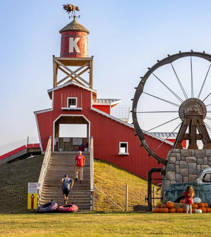 Kraay Family Farm-拉孔布必去景点