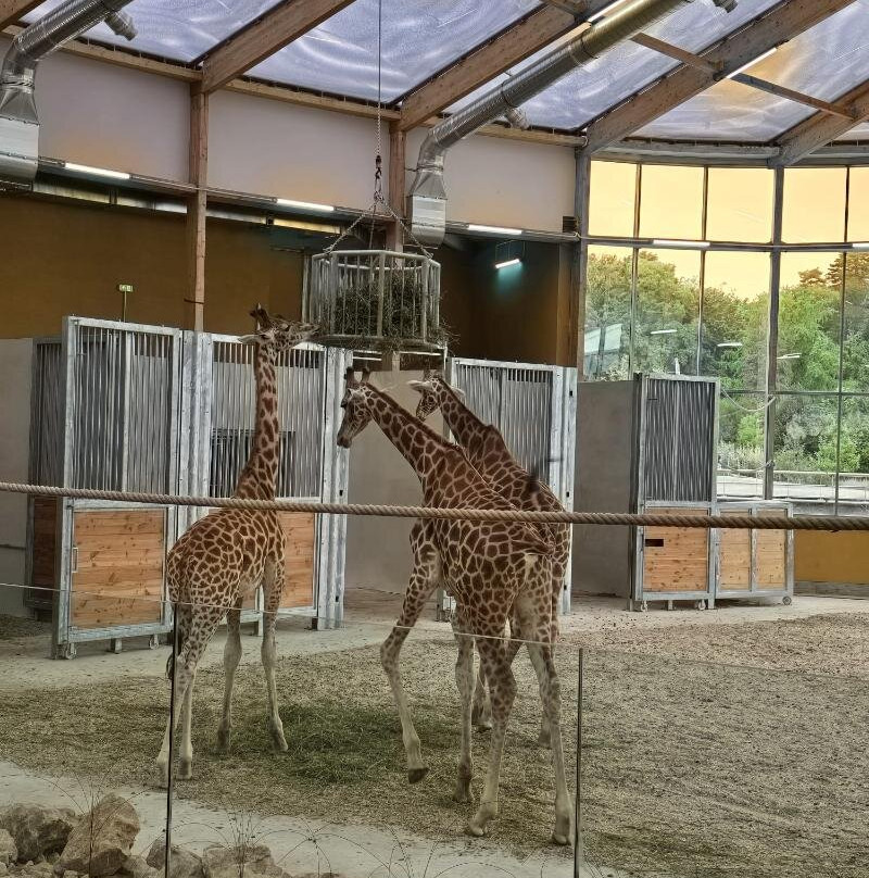 Parc Zoologique & Botanique de Mulhouse-米卢斯必去景点