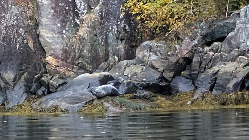 FjordSafari-弗洛姆必去景点