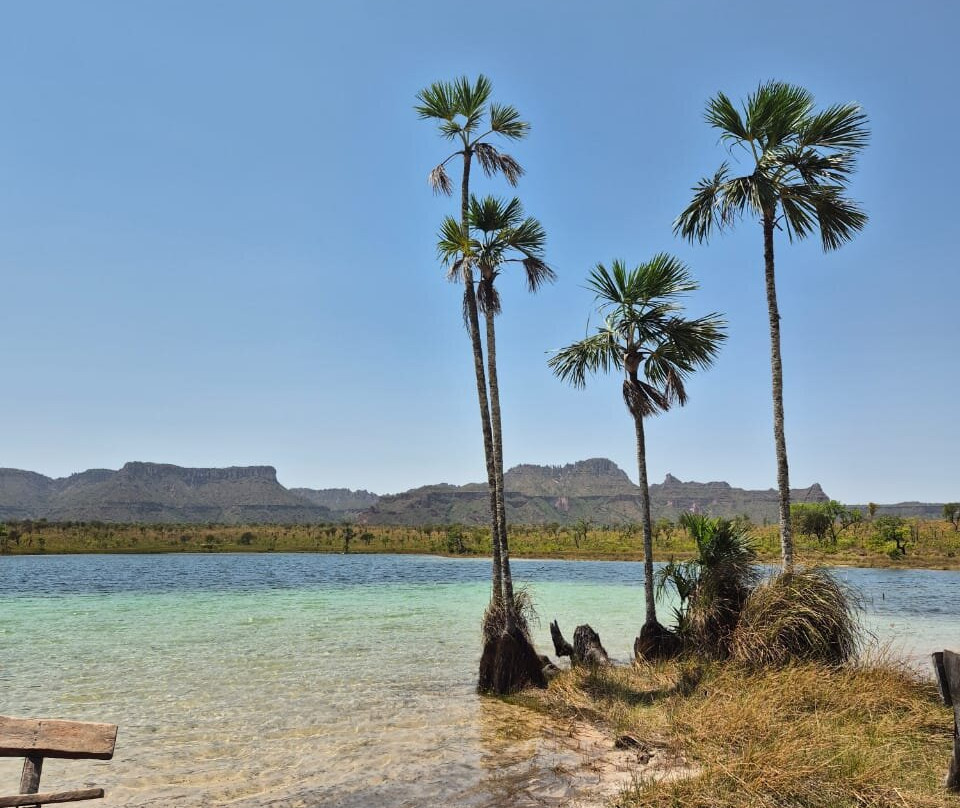 Praia Rica Ecoturismo - expedições personalizadas no Cerrado brasileiro-Palmas必去景点