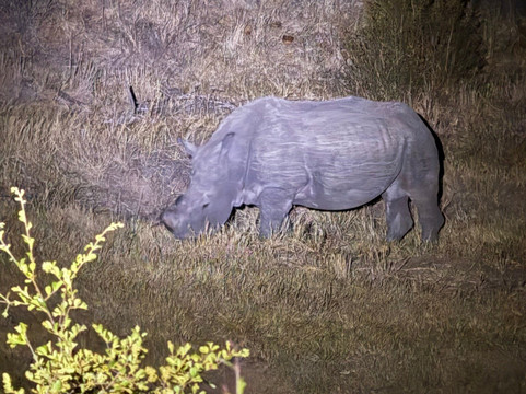 African Aerial Safaris-比勒陀利亚必去景点