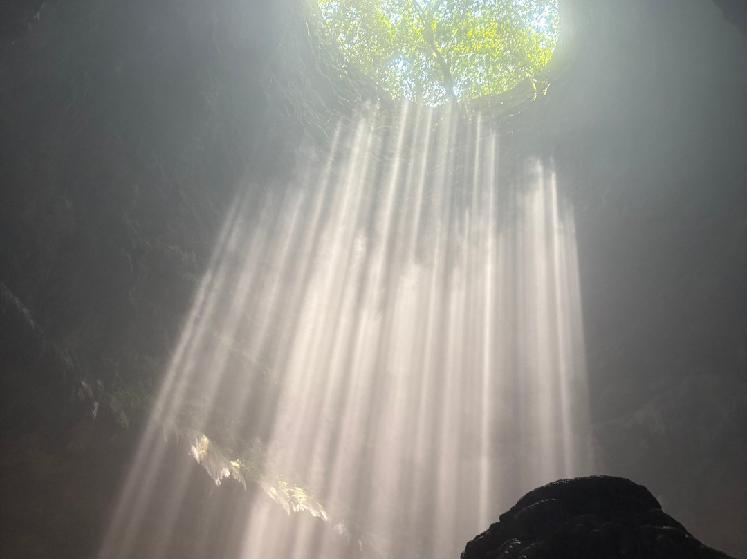 Dion Jogja Driver-日惹必去景点