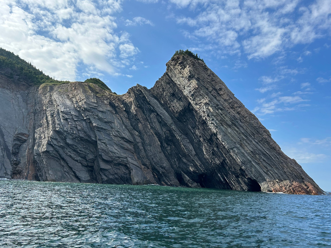 Oshan Whale Watch-Bay St. Lawrence必去景点