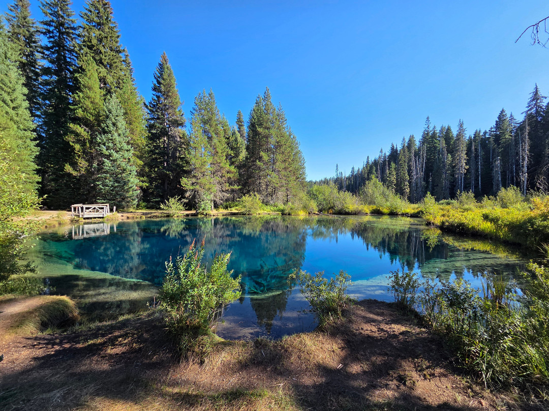 Rare Earth Adventures-波特兰必去景点
