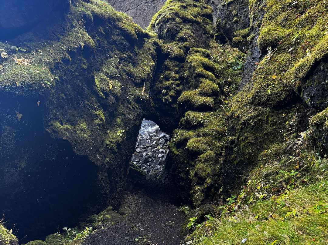 Arctic Exped-雷克雅未克必去景点